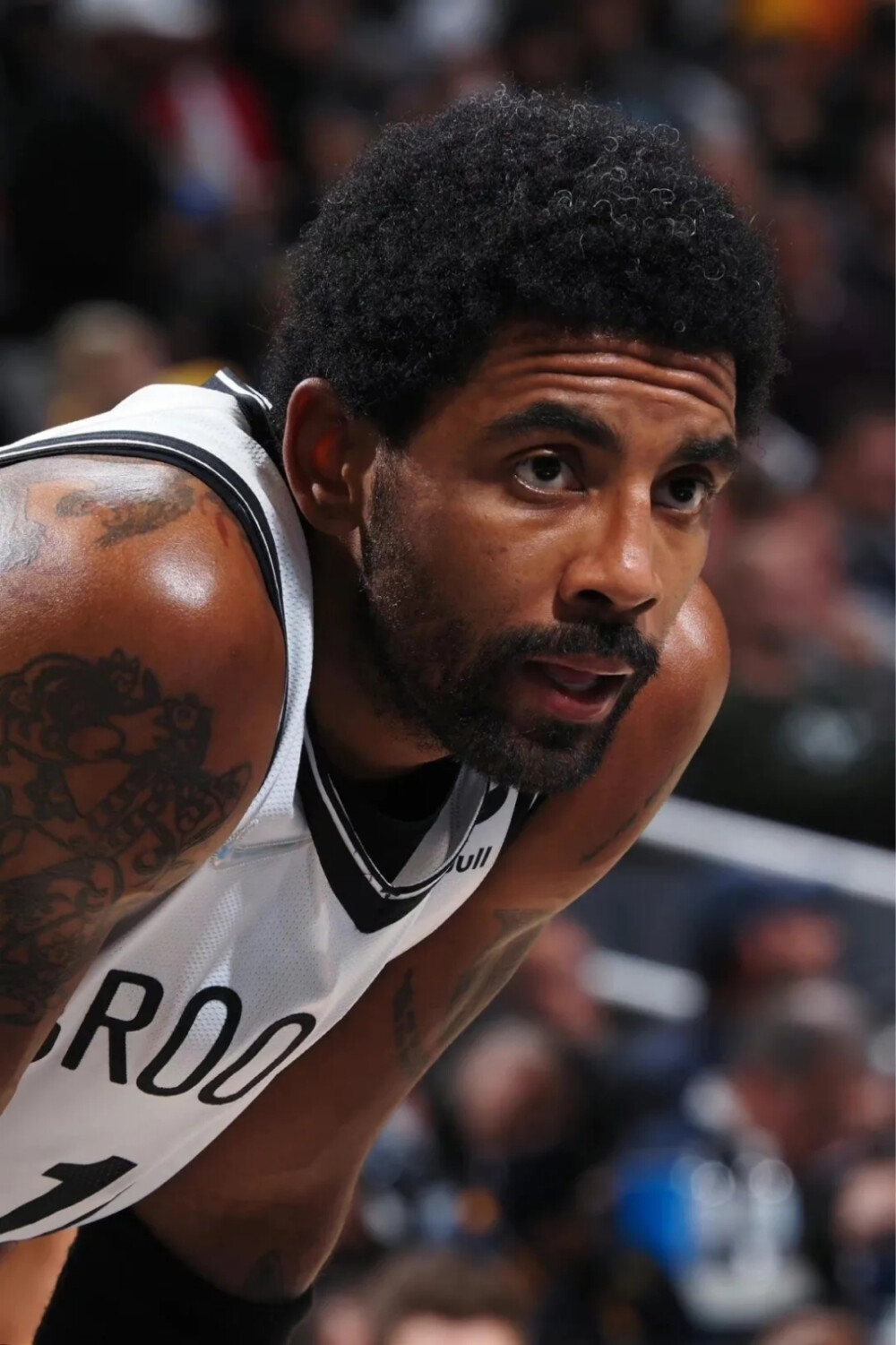 关注活动页 关注活动页